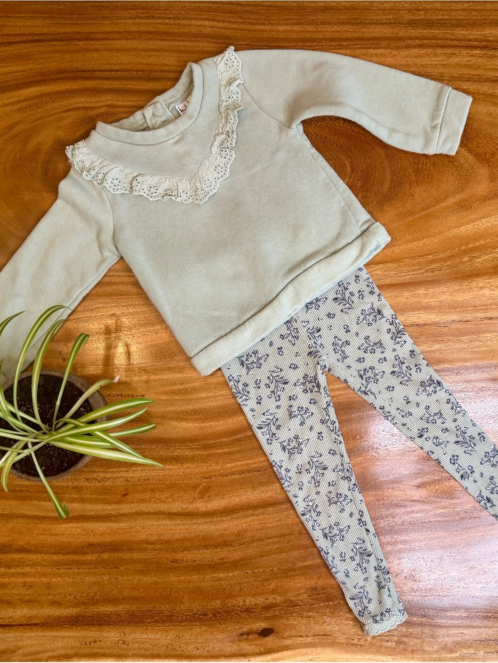 Nicole Miller New York | Girls 2-Piece Outfit, 2T, Sage Floral